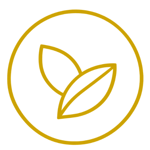 TruSelf Cacao organic