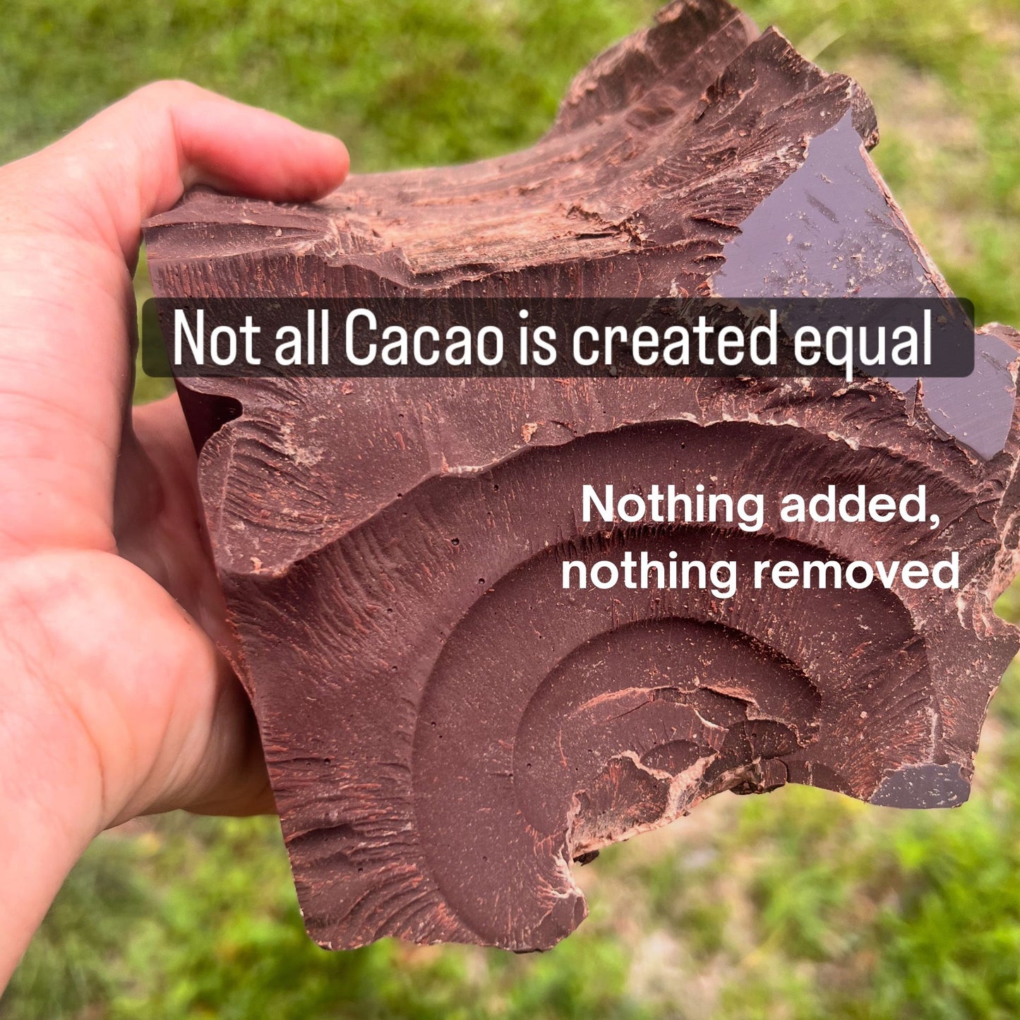 Ceremonial Grade Criollo Cacao Chunks from Peru with nothing added nothing removed