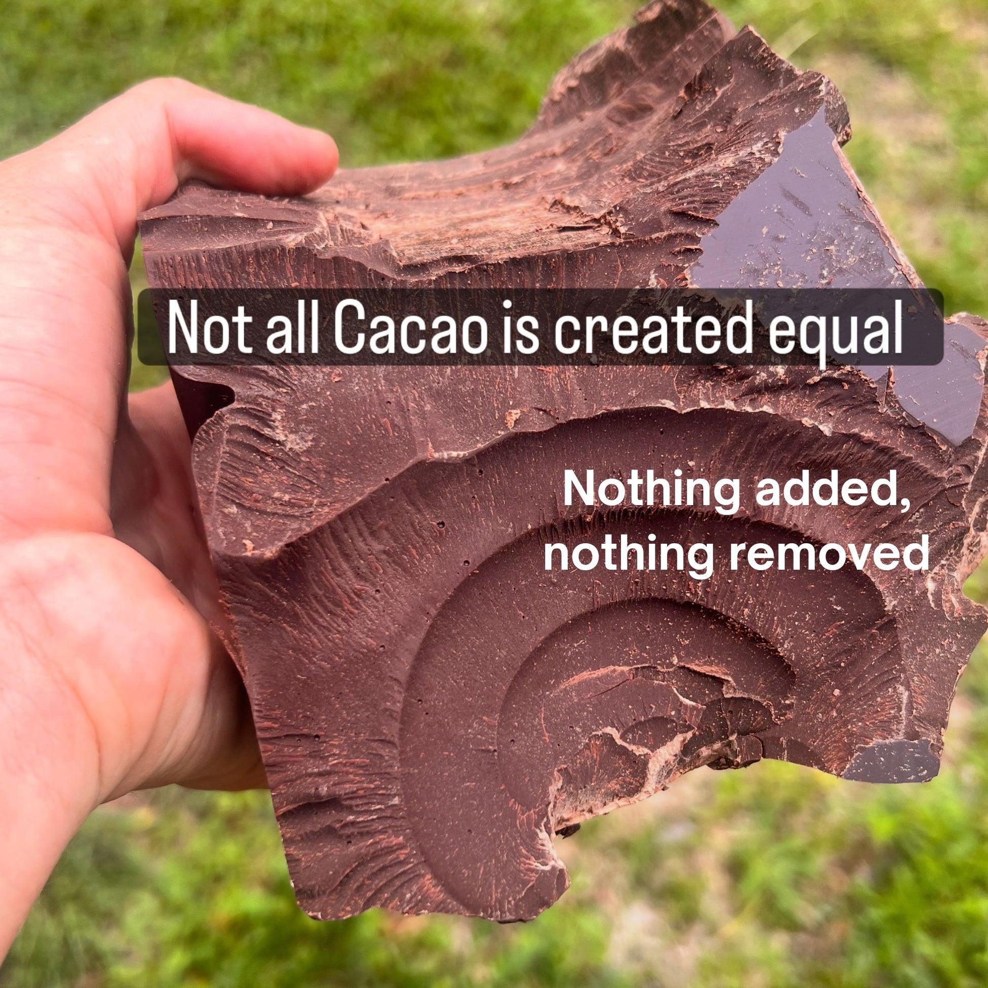 Ceremonial Grade Criollo Cacao Chunks from Peru with nothing added nothing removed